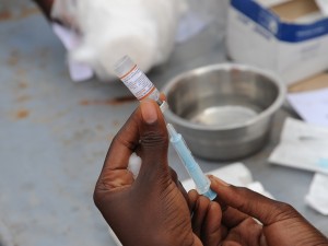 Using Aid Effectively to Control Endemic Disease