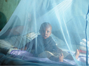 Seven ways to end World Malaria Day
