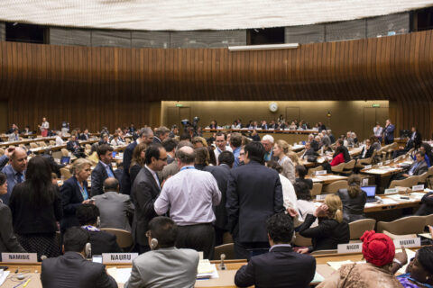 WHO, World Health Assembly